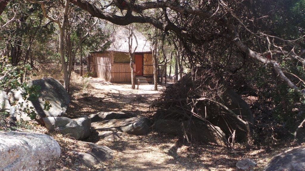 Marc's Treehouse Lodge 营地实景