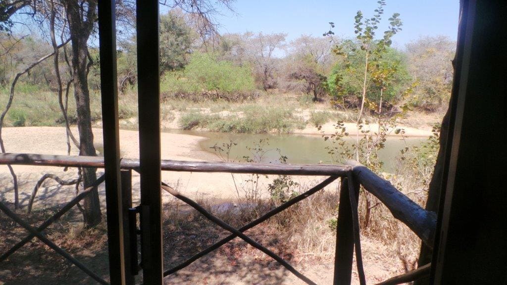 Marc's Treehouse Lodge 营地实景