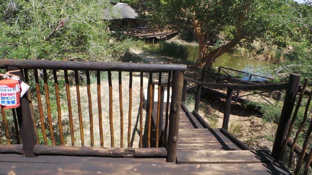 Marc's Treehouse Lodge 营地实景