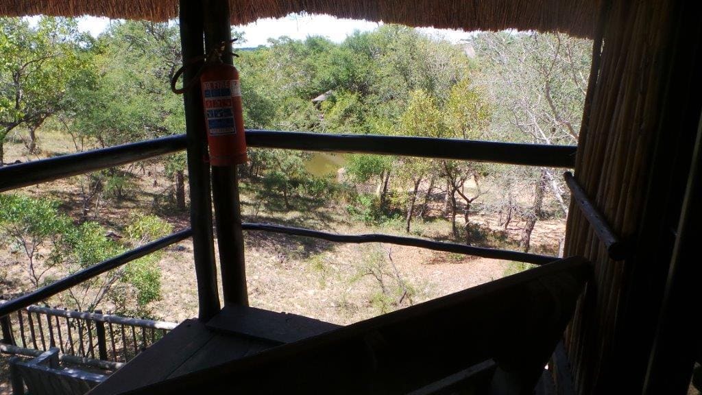 Marc's Treehouse Lodge 营地实景