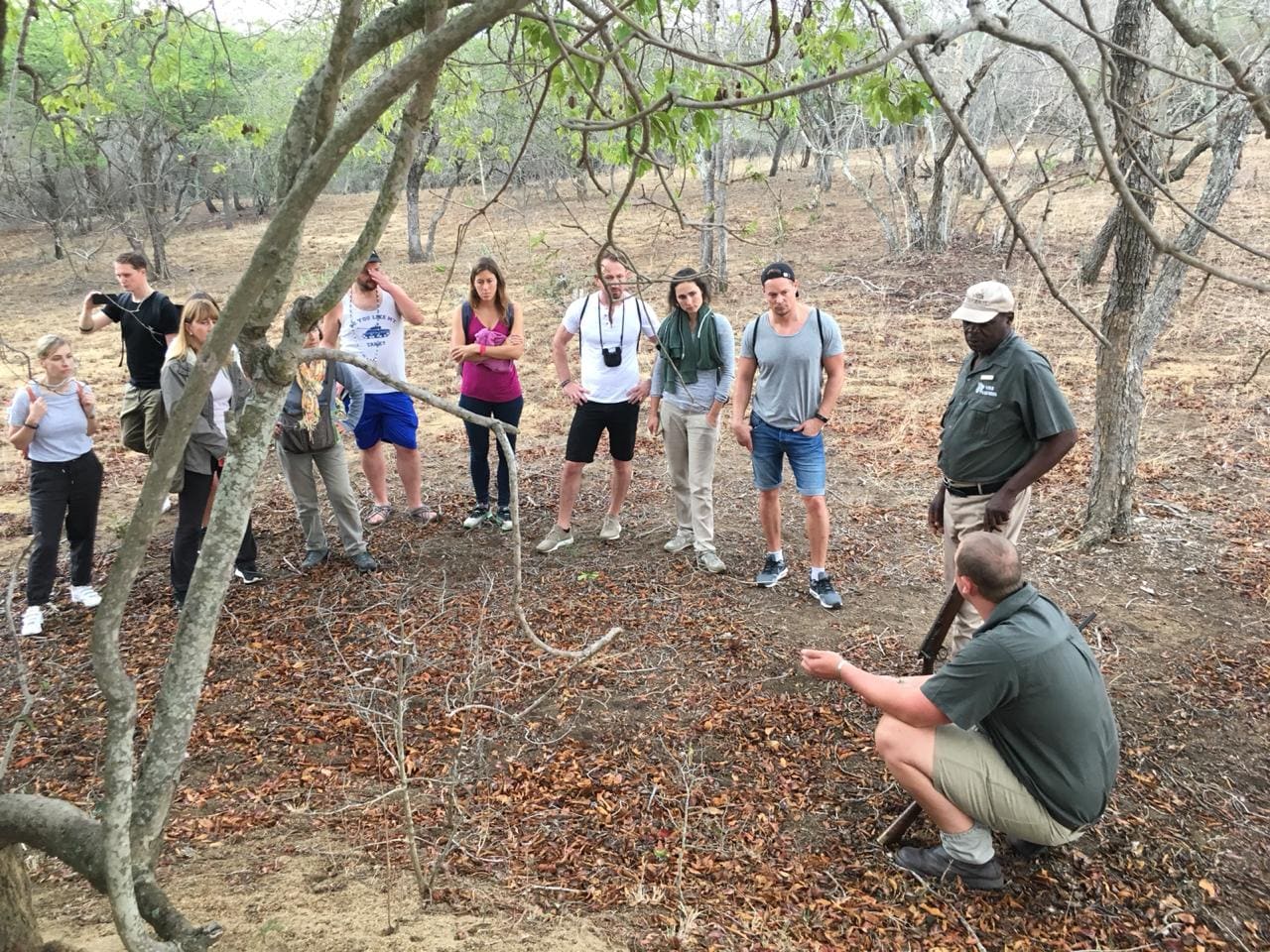 Masango Safari Camp 营地实景