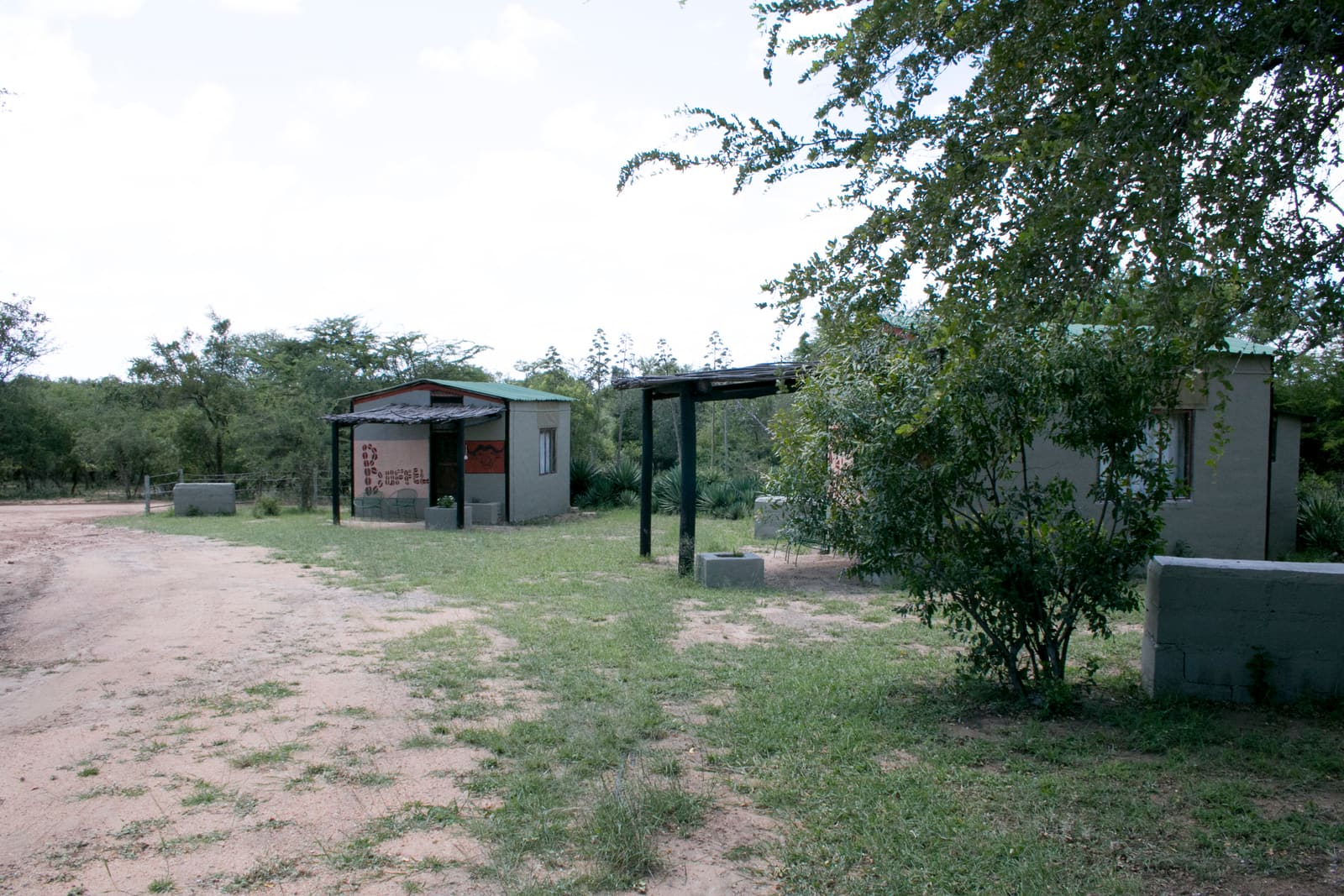 Masango Safari Camp 营地实景