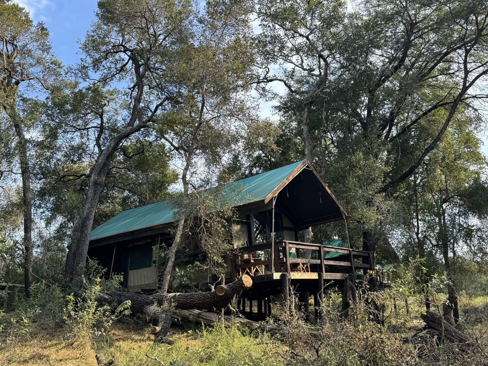 Ndzhaka Tented Camp 营地实景