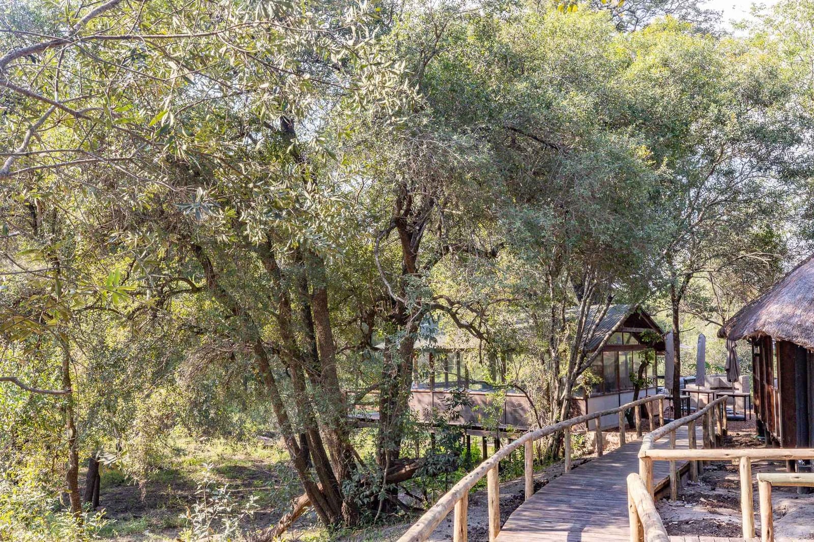 Ndzhaka Tented Camp 营地实景