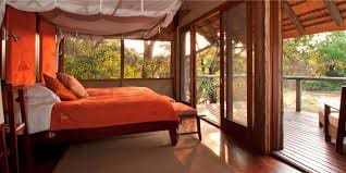 Rhino Post Safari Lodge 营地实景