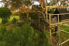 Rhino Post Safari Lodge 营地实景