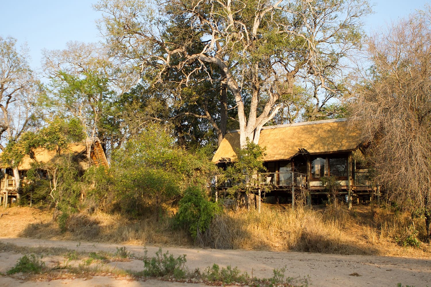 Rhino Post Safari Lodge 营地实景