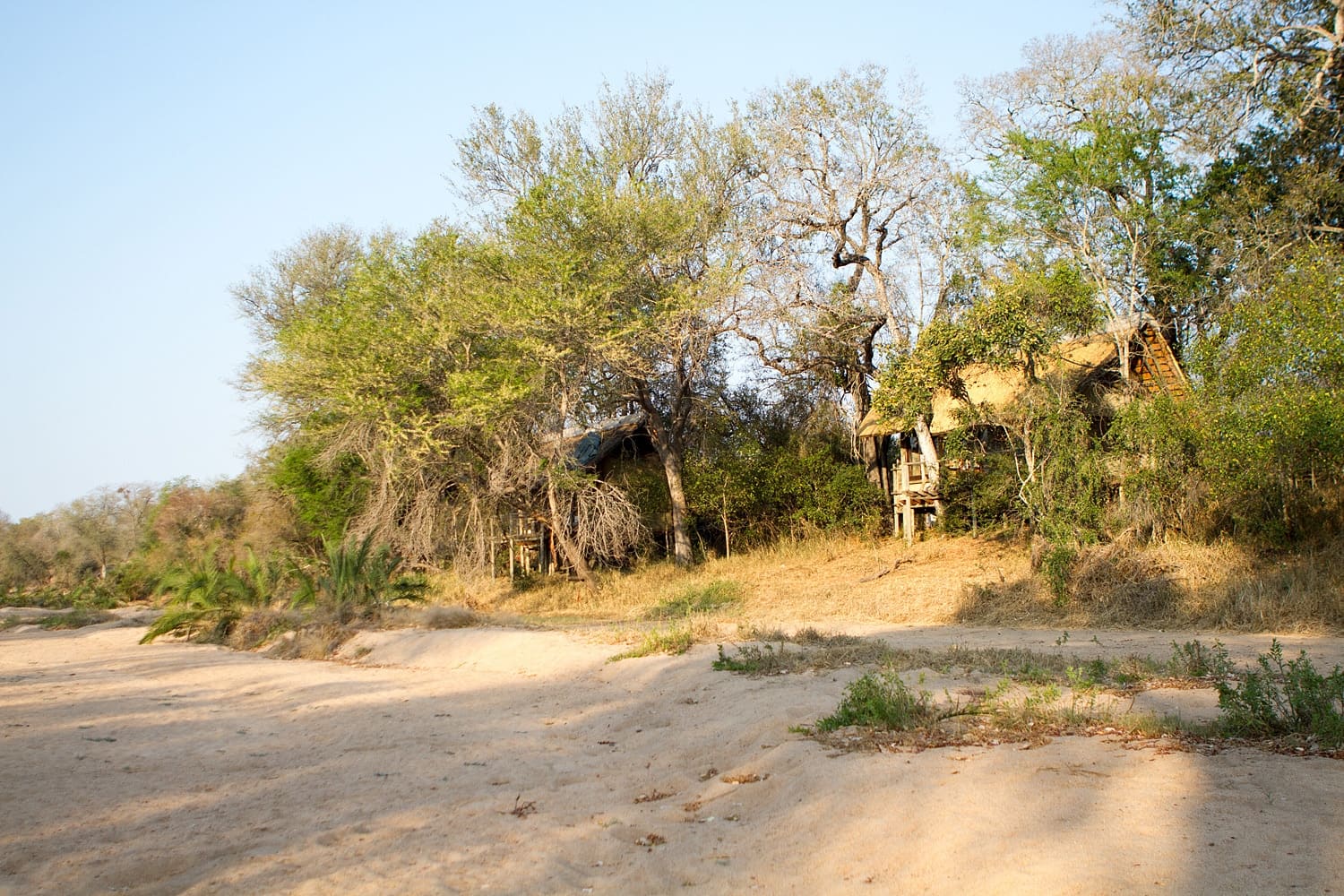 Rhino Post Safari Lodge 营地实景