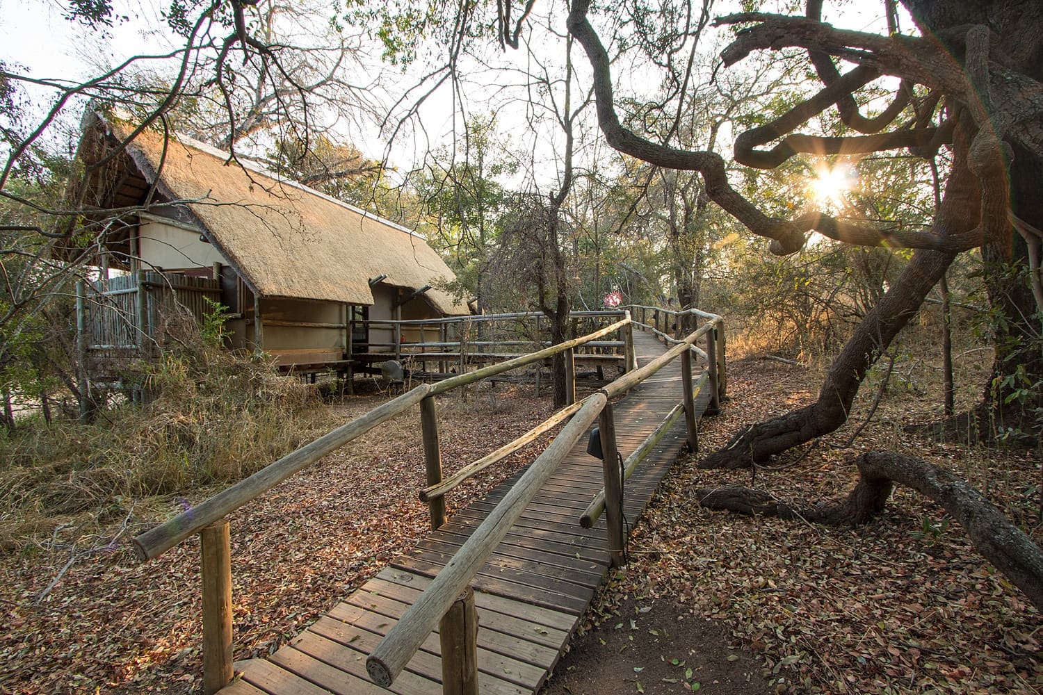 Rhino Post Safari Lodge 营地实景