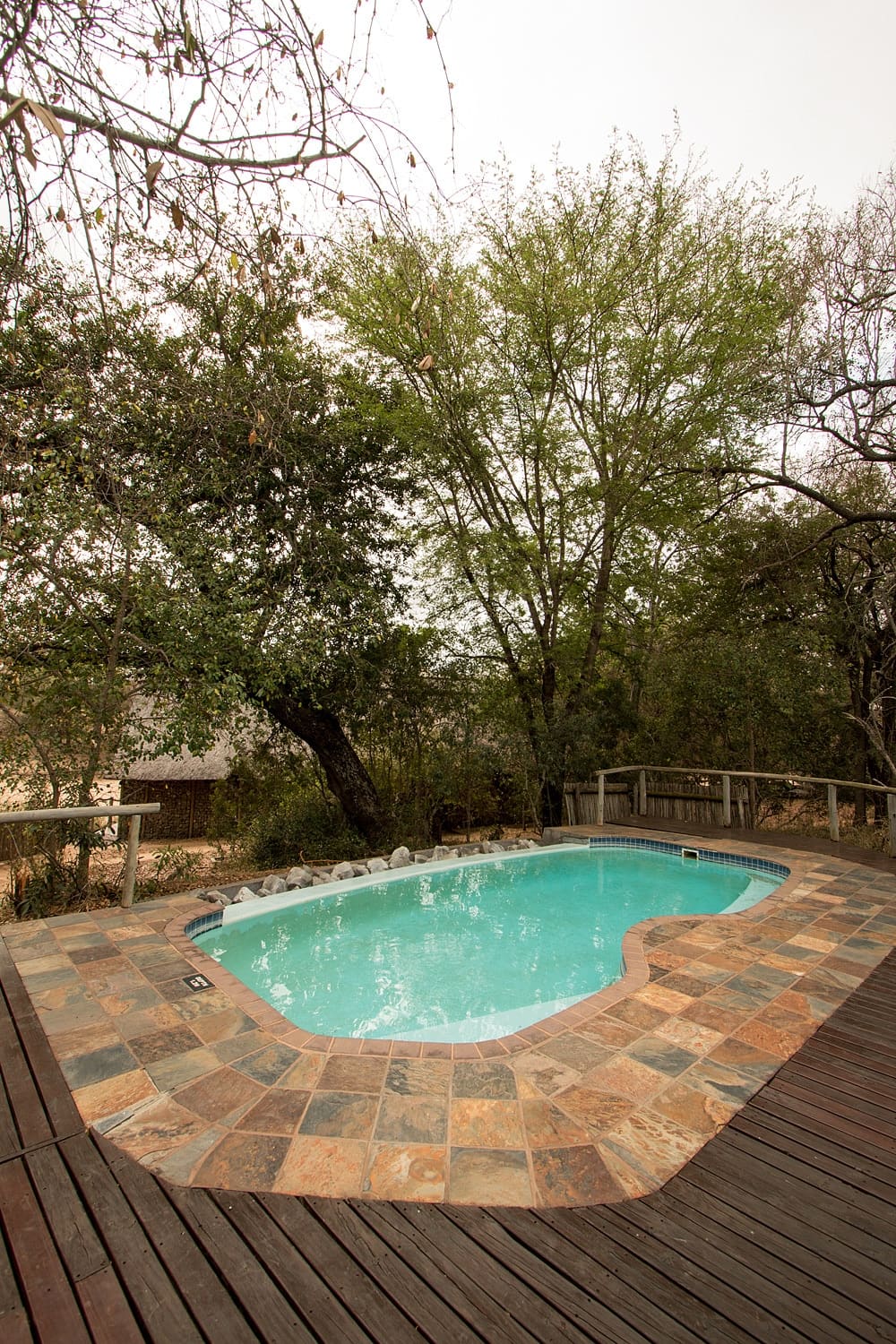 Rhino Post Safari Lodge 营地实景