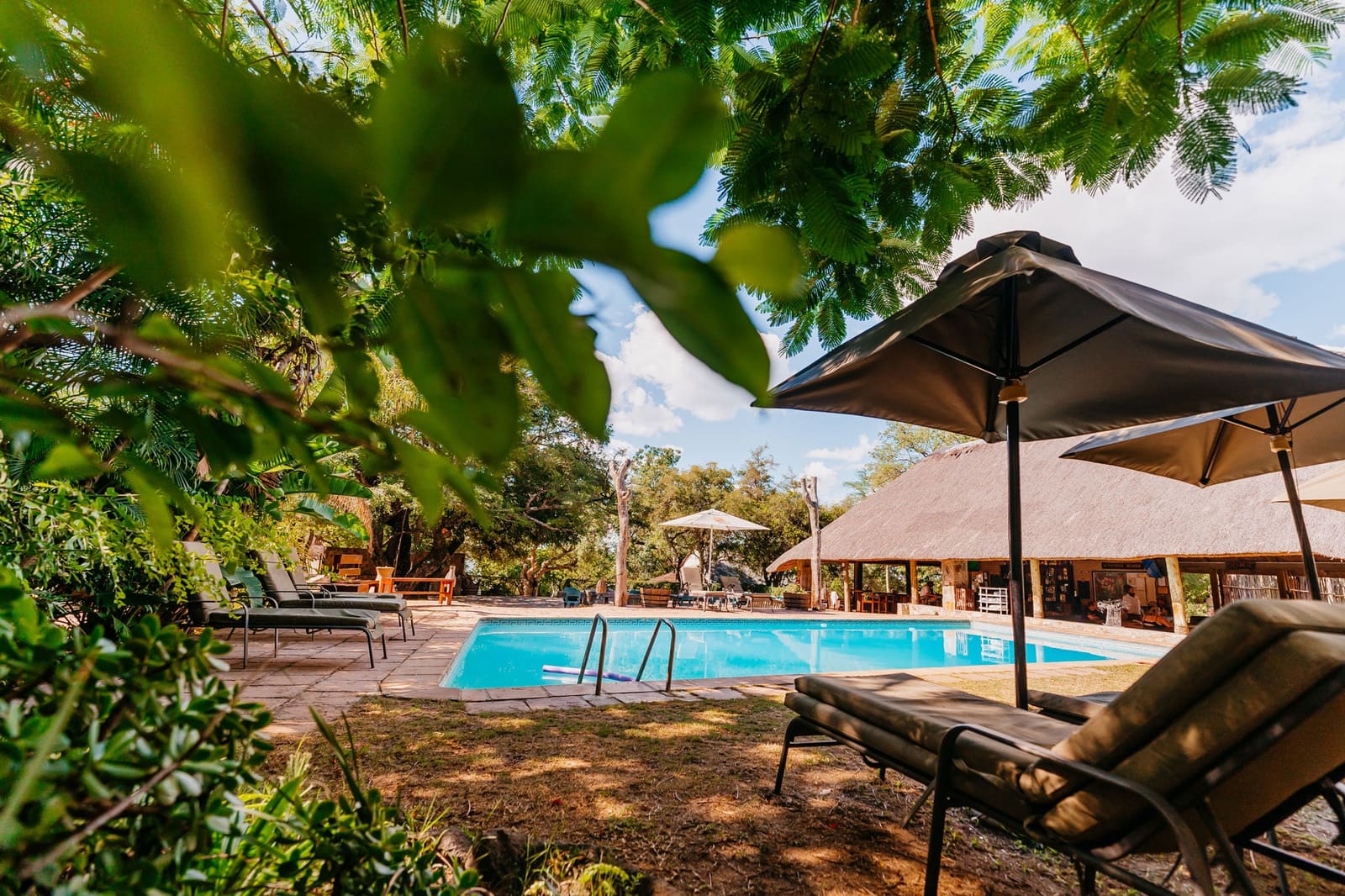 Timbavati Safari Lodge 营地实景